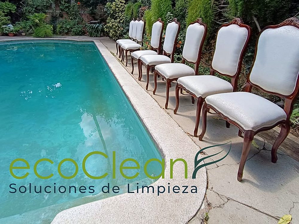 Sillas de comedor tapizadas limpiadas por EcoClean